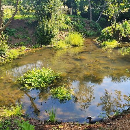 Le Clos Des Sources Isigny-sur-Mer Esterno foto