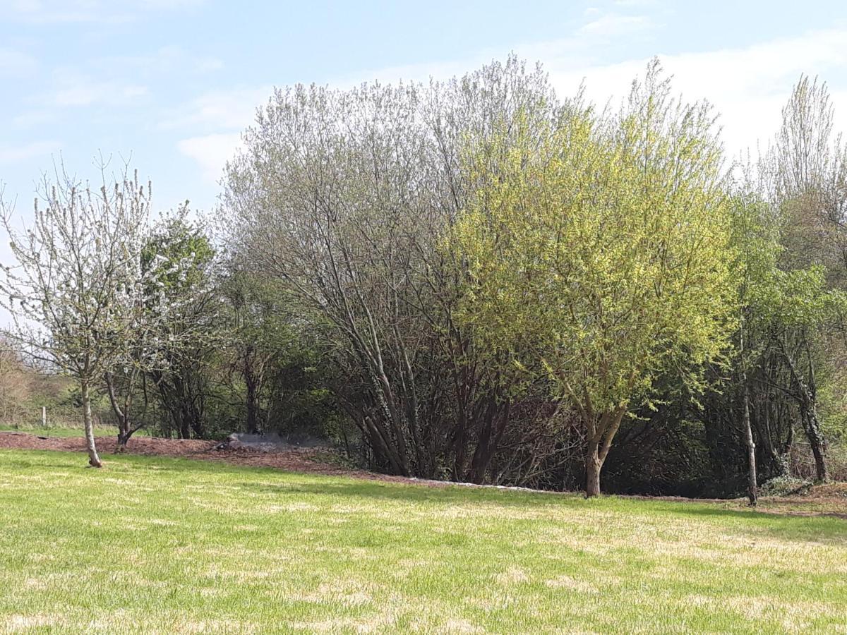 Le Clos Des Sources Isigny-sur-Mer Esterno foto