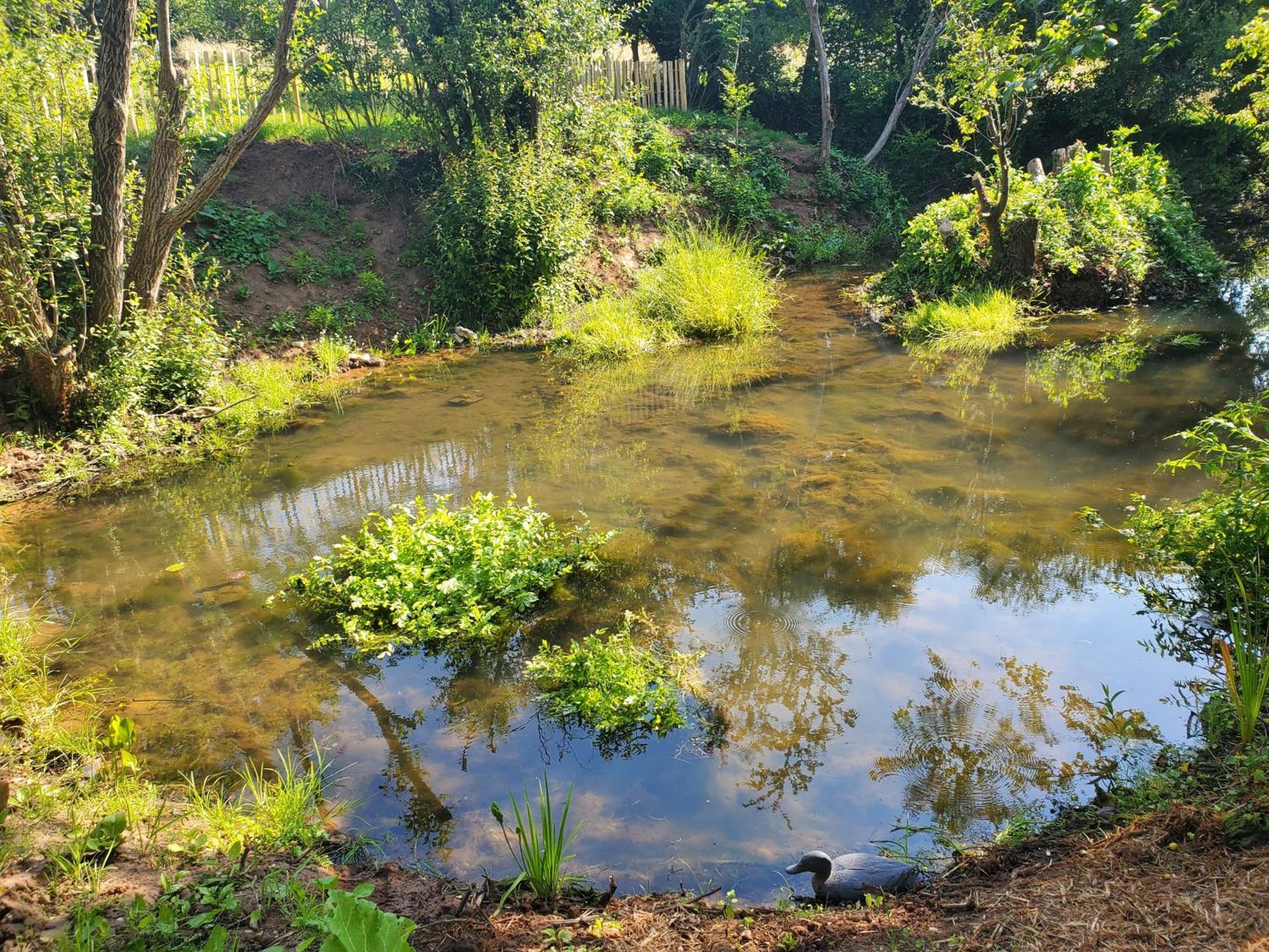 Le Clos Des Sources Isigny-sur-Mer Esterno foto